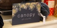 Canopy 743331 Image 4